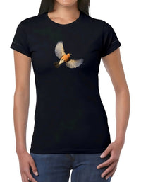 Bullfinch - Women's T-shirt