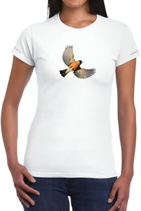 Bullfinch - Women's T-shirt