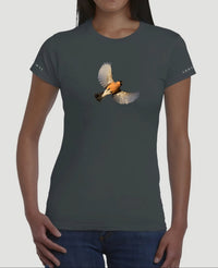 Bullfinch - Women's T-shirt