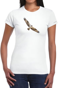 Osprey in flight - Women's T-shirt