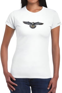 Peregrine Falcon - Women's T-shirt